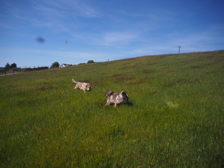 1314 81398e4ee6ac61d57d7bce4d2f172b5e 1 768x576