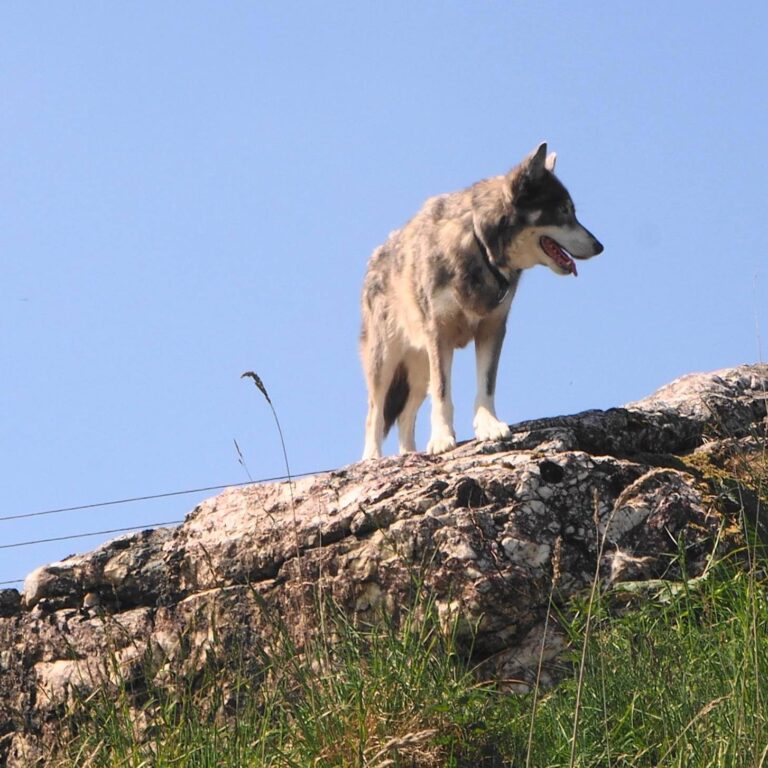 1314 89886613e9b3343173561c384b29011d 1 768x768