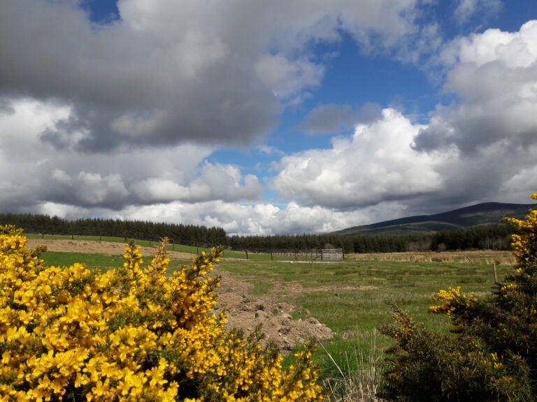 1314 bcb7e0347c5b7fb8a217cec3be1ab35e 1 768x576