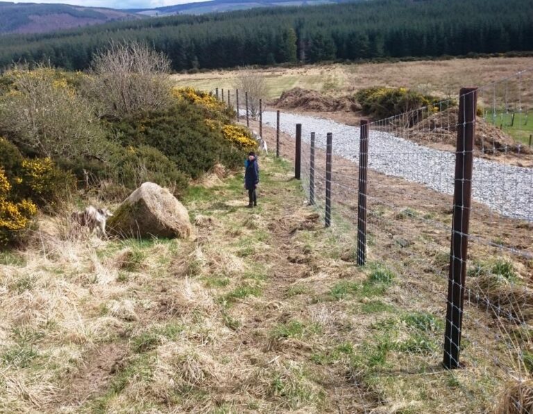 1314 c4d5851becefd176dd6d0741a2ed129a 1 768x596