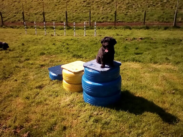 1315 117ff4033fac76912d4c355139a1833e 1 768x576