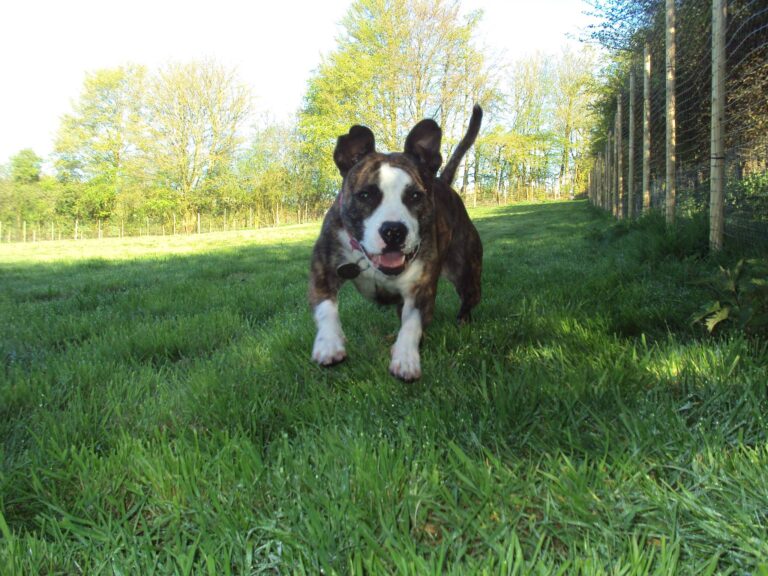 1315 12b60d1ae653e3bded15048a478486d7 1 768x576