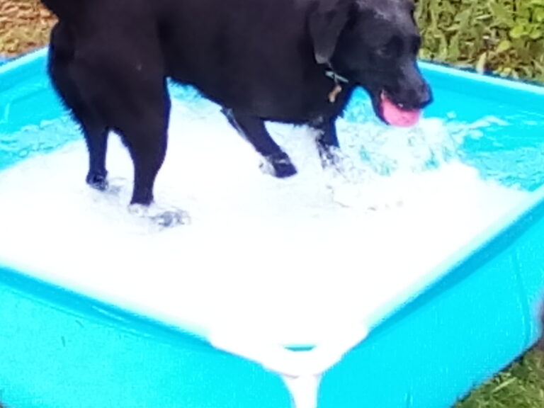 1315 283bdf304d7bf916e86520c6adee1a6f 1 768x576