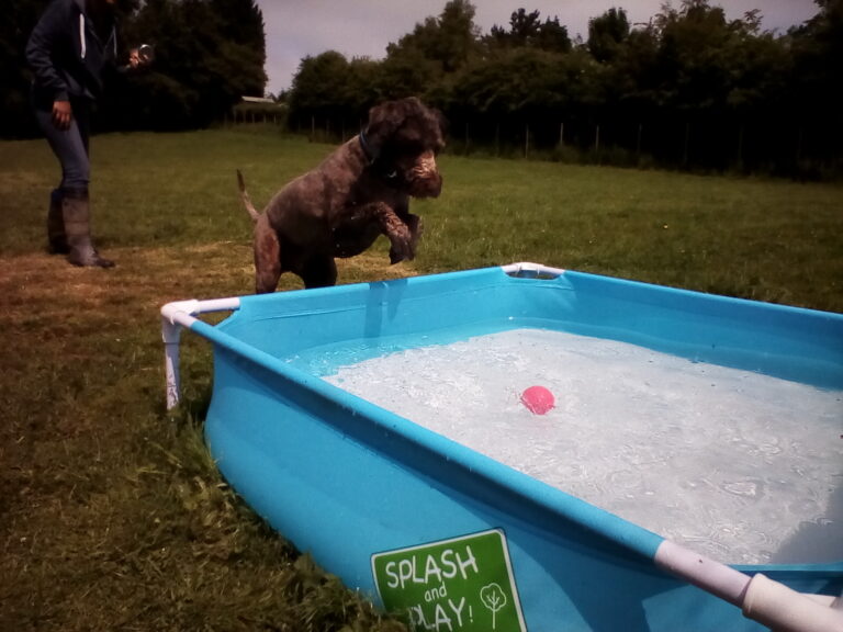 1315 339ddeed31a11df9c8c59c72816c8920 1 768x576