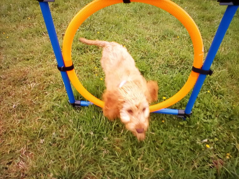 1315 4af1022f4e8a2ebfa47c2f0b4230fdfc 1 768x576