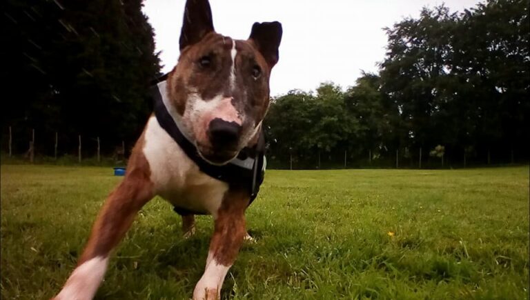 1315 58572c081c93351d938e95928fc5fb29 1 768x435