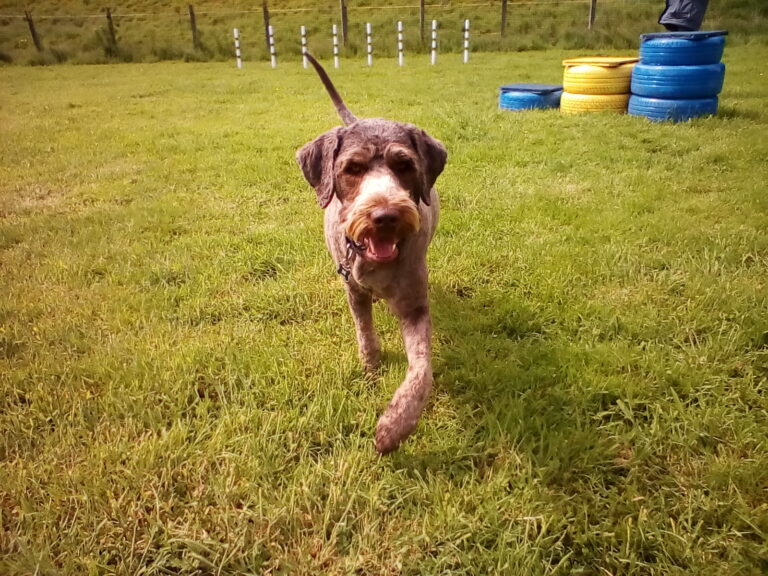 1315 5e59a3421b98815238c72b88a7037e05 1 768x576