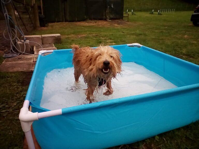 1315 6b2db547dfd2ded6ecf91c11fc66f65f 1 768x576