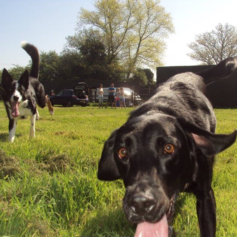 1315 8d5e2340109ef1dded0961c2e55a6883 1