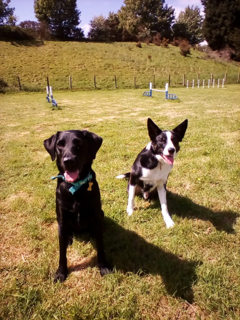 1315 d58f92a6486355641092231b57e648da 1 768x1024