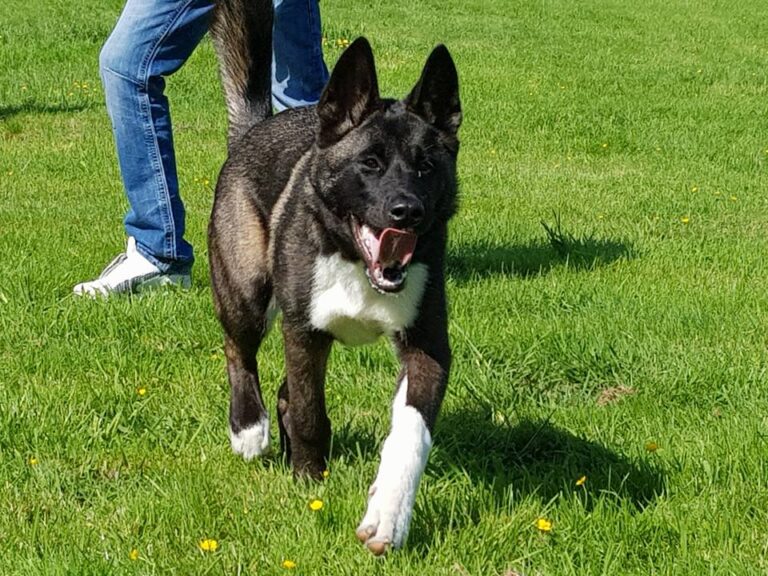 1315 dcb62688a1cc0736958e24c3efb4b7ca 1 768x576