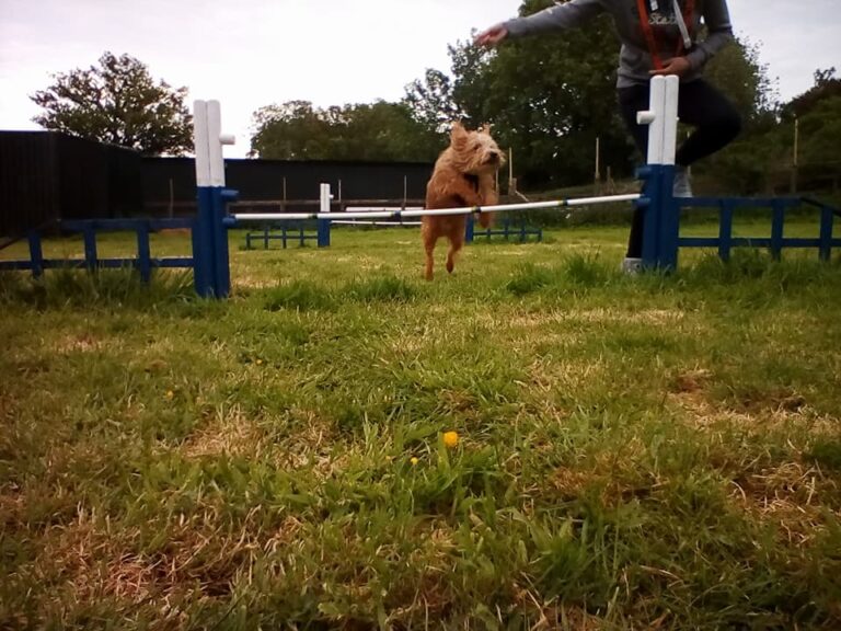 1315 e466aece56a6f60a03d40ac5b33889a3 1 768x576