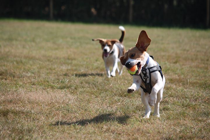 1316 7a4c0972c9e58bc03478a8ef8d233af3 1