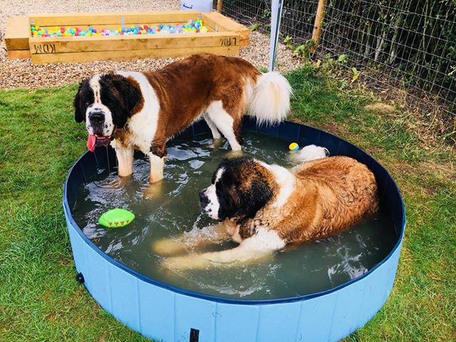 1316 ad73fb978676666ed580d29855bd688b 1