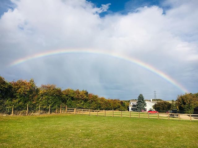 1316 b3403a26e24cf1cde968d54f8ef579f9 1