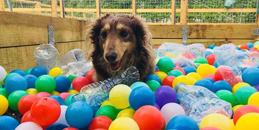 1316 dcd03b14f25ec8eaef3ad92ee79869e3 1