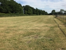 1317 045a4822dfa4dd97b7ff1e1d279a1fd8 1