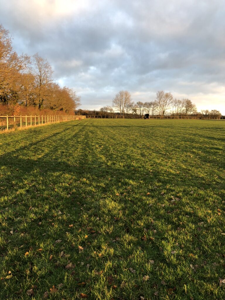 1317 6b3bc2c01f68833c571ebc01f2d68d67 1 768x1024