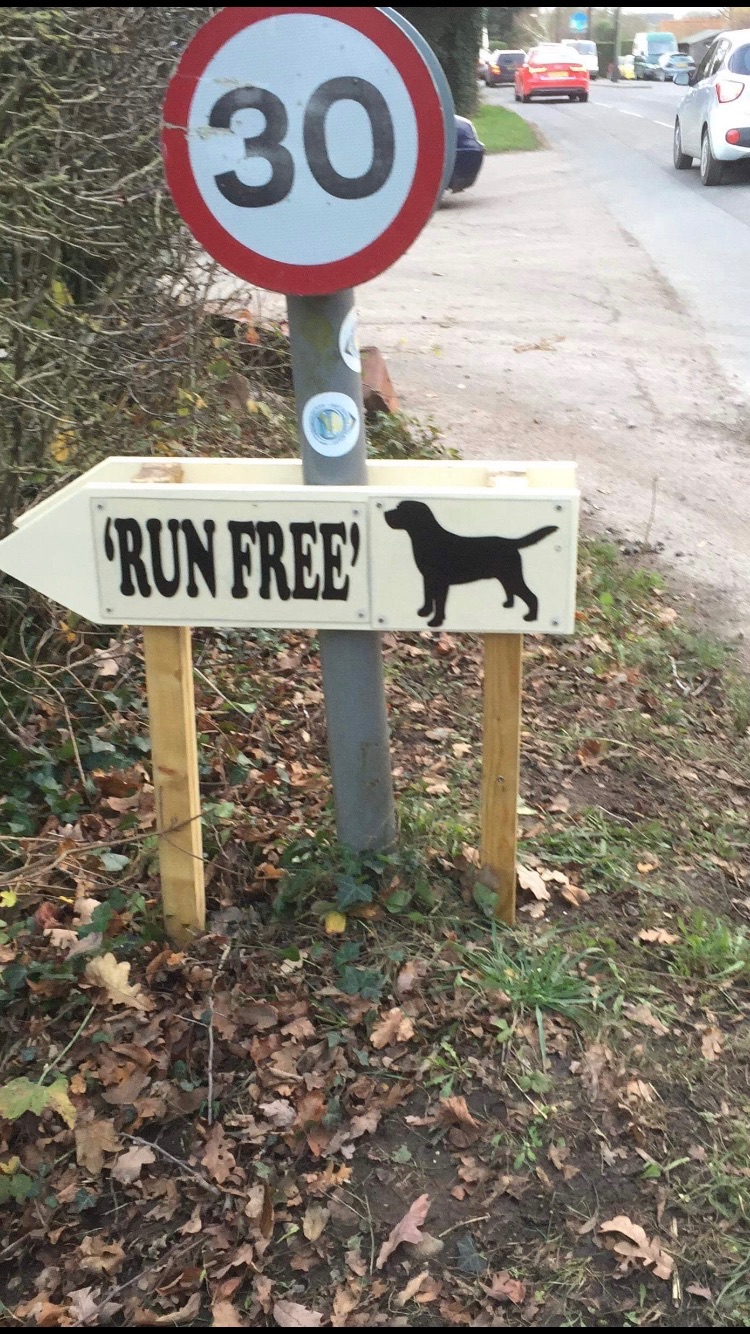 1317 c5676925181049d21a53ae6a6179716c 1