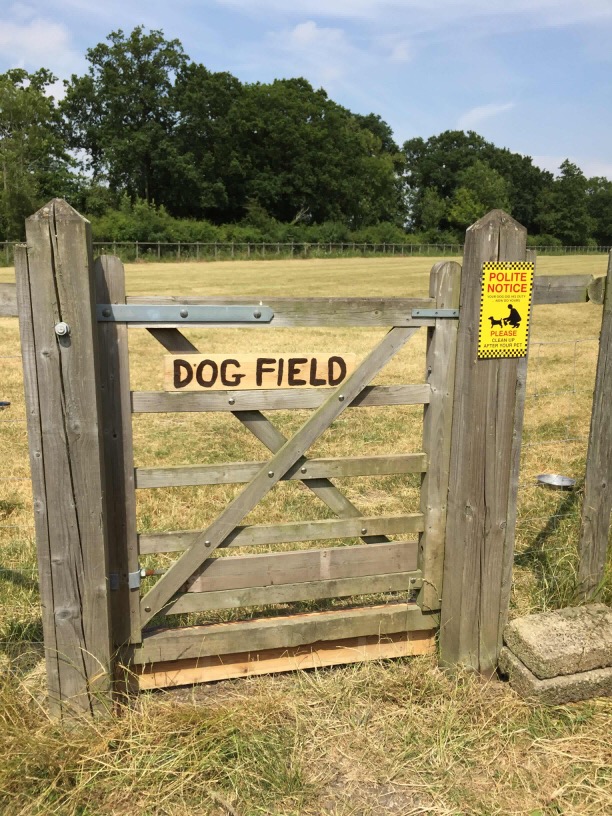 1317 e6546be171e0c8173c6ed916018f9011 1