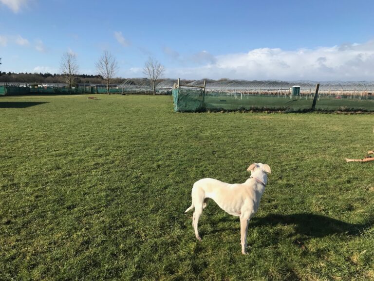 1321 71d14a7fda584c4f15b502bda75acfeb 1 768x576