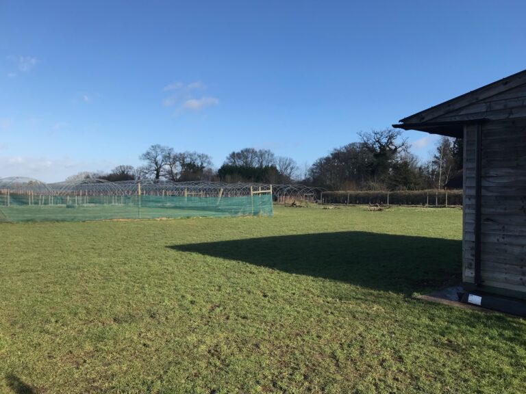 1321 f25353d632203d50d61194387cba20be 1 768x576