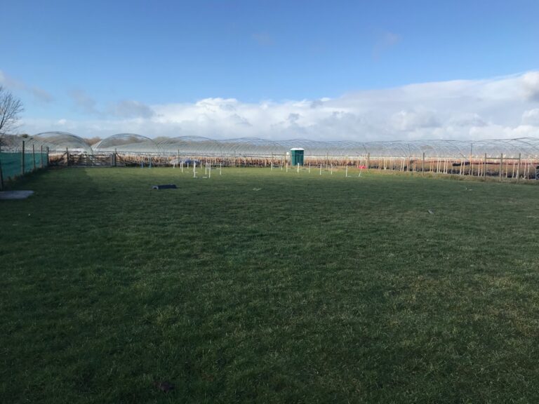 1322 e68f5aaa0dd7fe5dc1c32e9e8f77d293 1 768x576