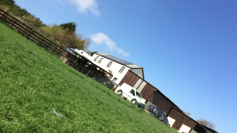 1324 1afb2bdb73e2a56e214e0862a693fa41 1 768x432