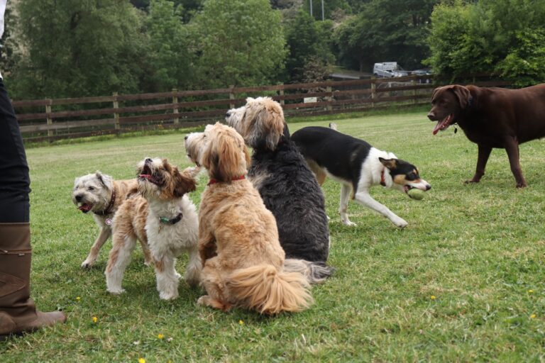 1324 e8d57900c9c03238d6478b0c72cd40d4 1 768x512