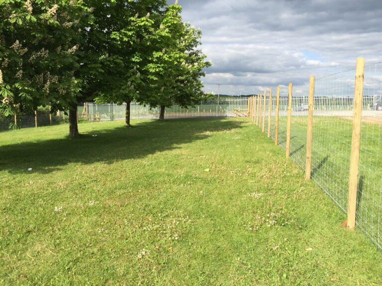 1326 10f4c8452c549554c45e9a946ec0b33a 1 768x576