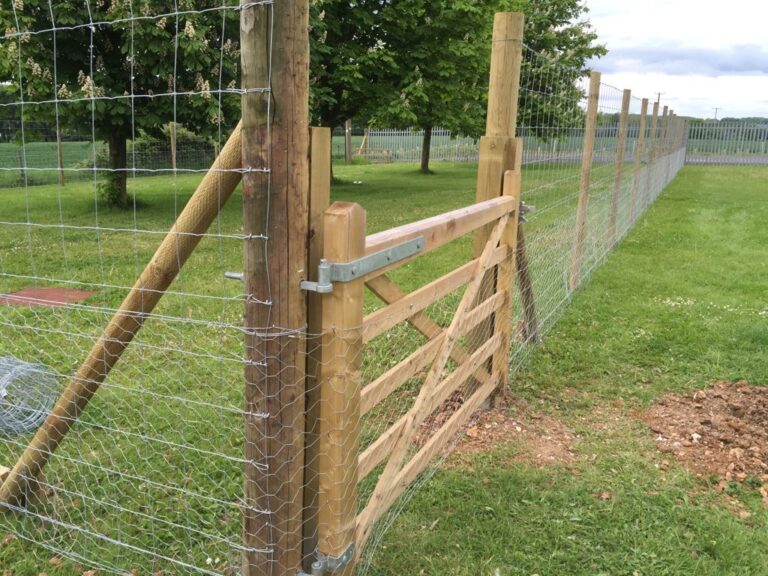 1326 2e106e647fd13b30fb3efe926ed77331 1 768x576