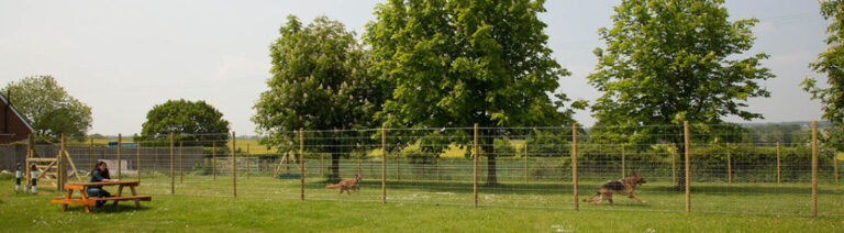 1326 d329cec8de1a3bbfe55e83e1263162ae 1 768x212