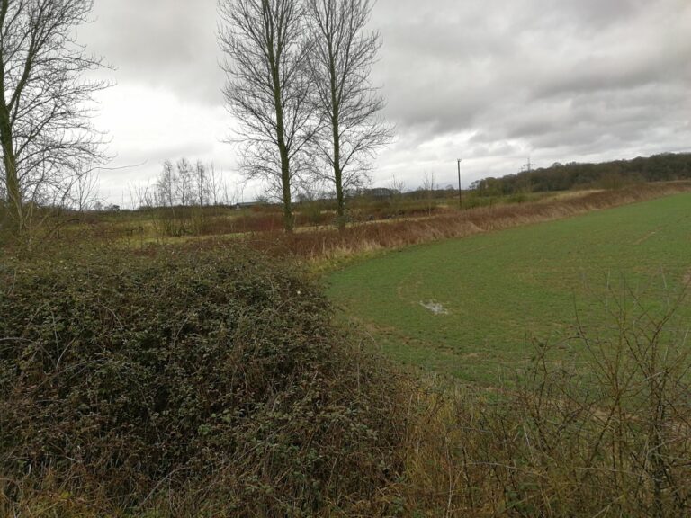 1326 dce1bea893140fe89849e72cb289649c 1 768x576