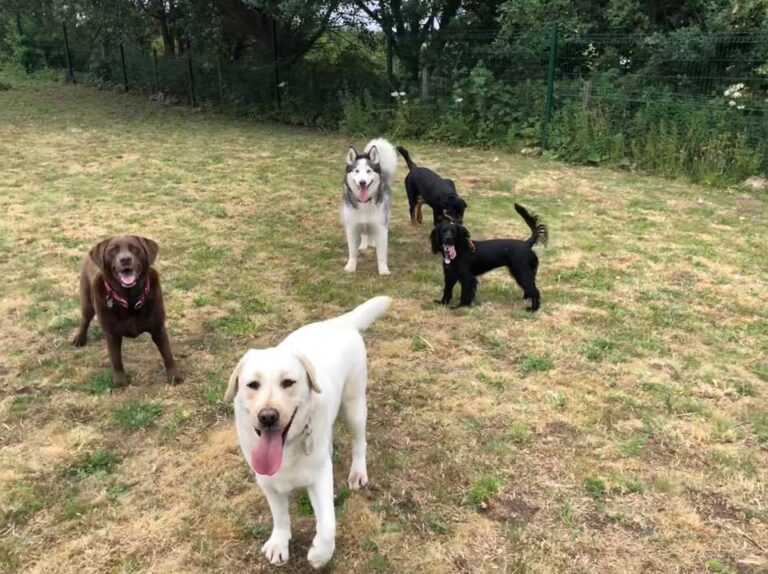 1331 5782ac74cb03c56b914c30b00a2056a3 1 768x574