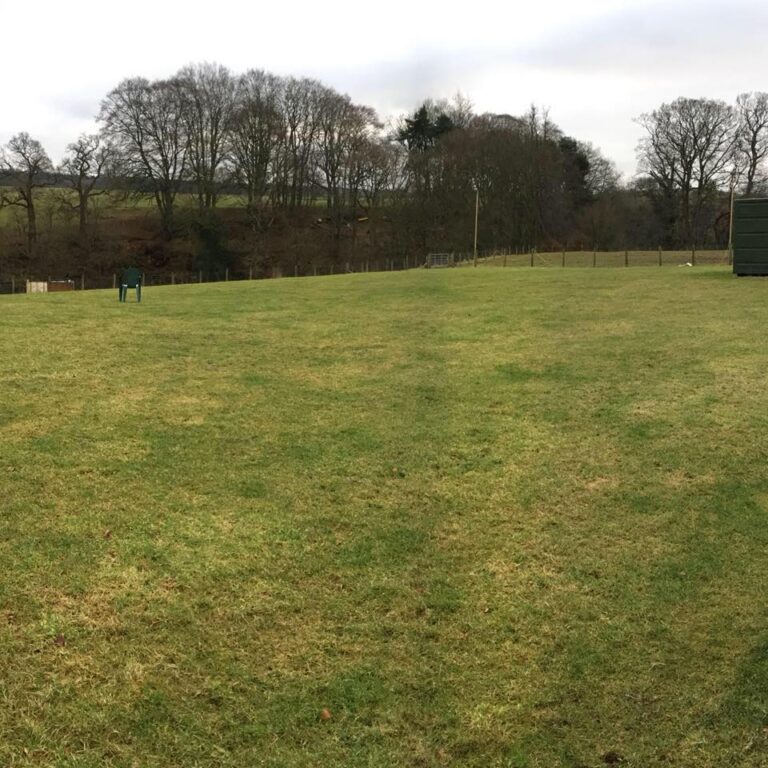 1345 489d4c2201e590728ce8ff71395c81b2 1 768x768