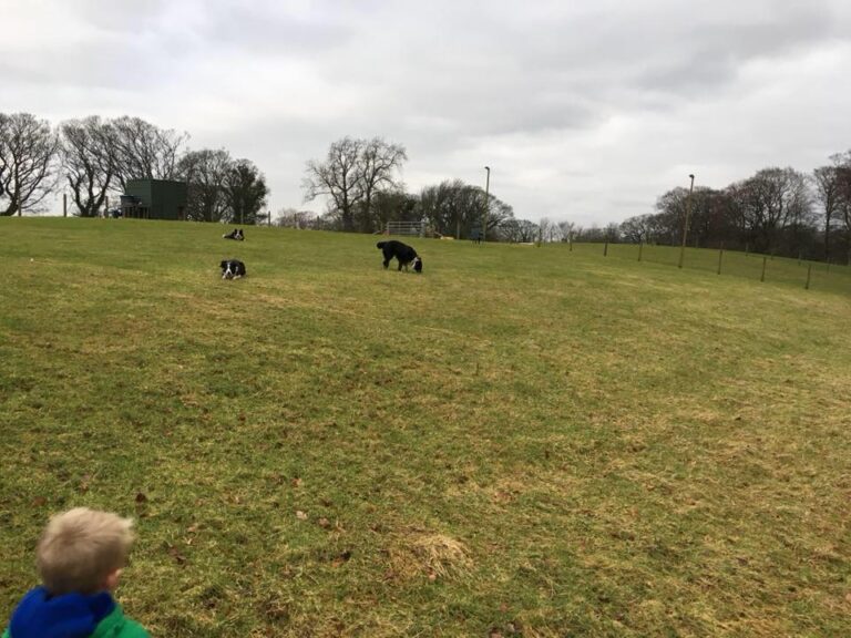 1345 84fa037edb3e2ec3fec21f599c328804 1 768x576