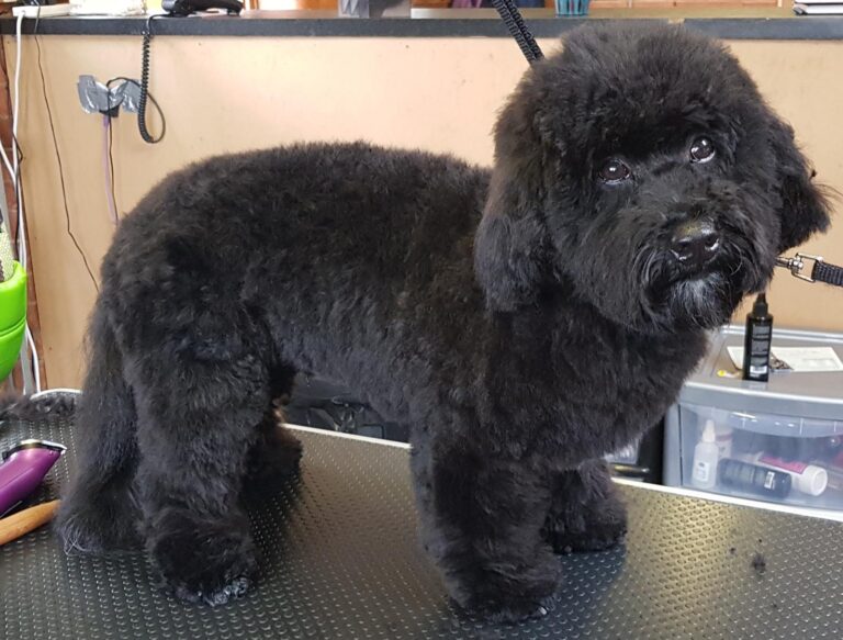 1347 088d4b6ce3fb72132c50abd3c383914d 1 768x583