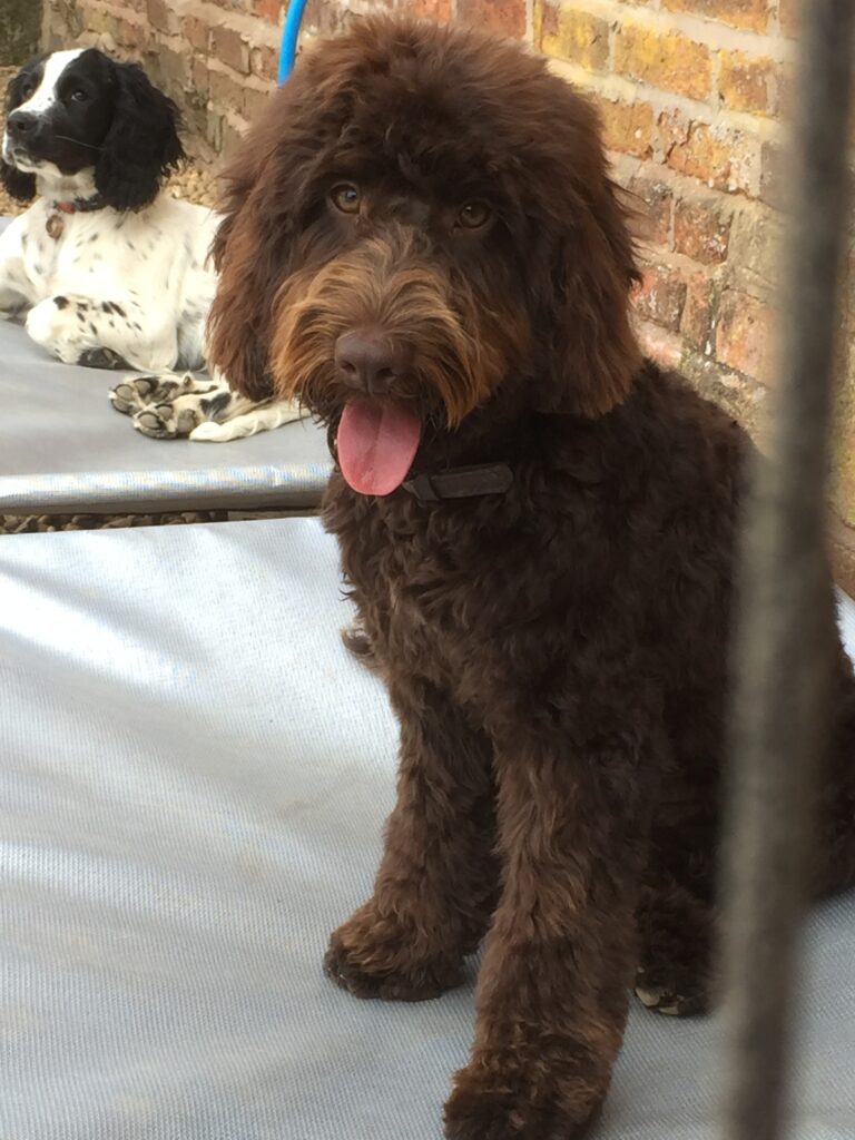 1347 1048ea65425959f843f4bff04d1a451e 1 768x1024