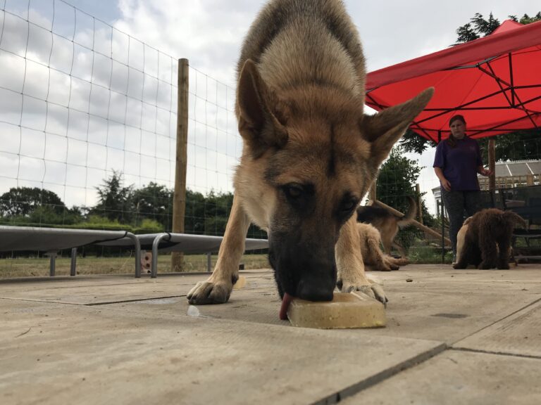 1347 1d763537f97e2f3e90618fa8b9e4d3de 1 768x576