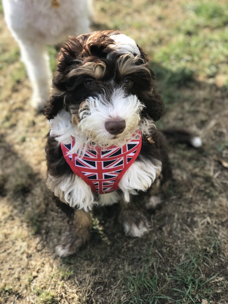 1347 39c1b7acdf2a72fcaa4bf4344ffe74b4 1 768x1024