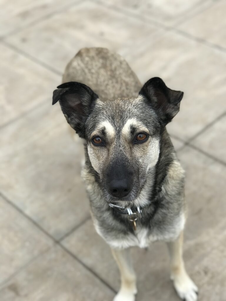 1347 3d7ead808e641e9b21ef88b8c38e5c72 1 768x1024