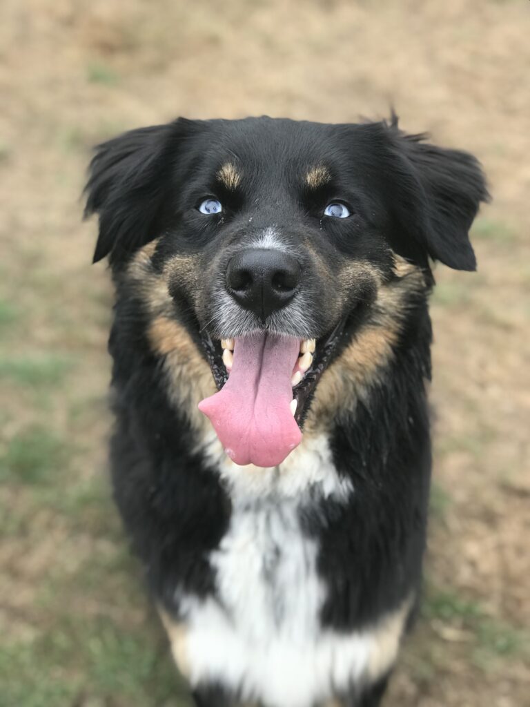 1347 401072bd4bb32479b30c2dd5bce5e2a5 1 768x1024