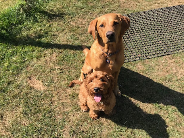 1347 46b4ebf54284def9292f188b9d2fefb0 1