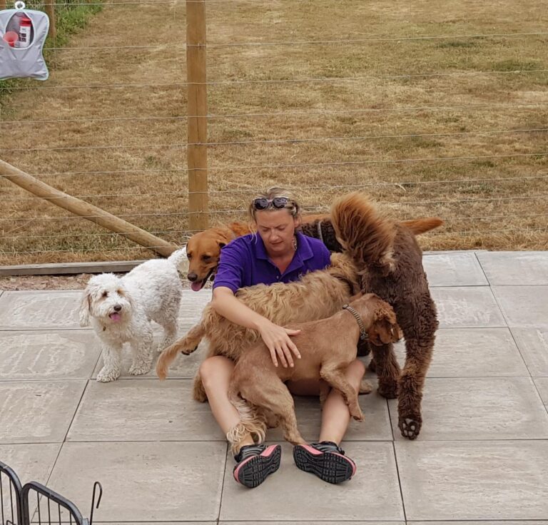 1347 5b5f2c9605babd6076d7dad54ccdadf3 1 768x736