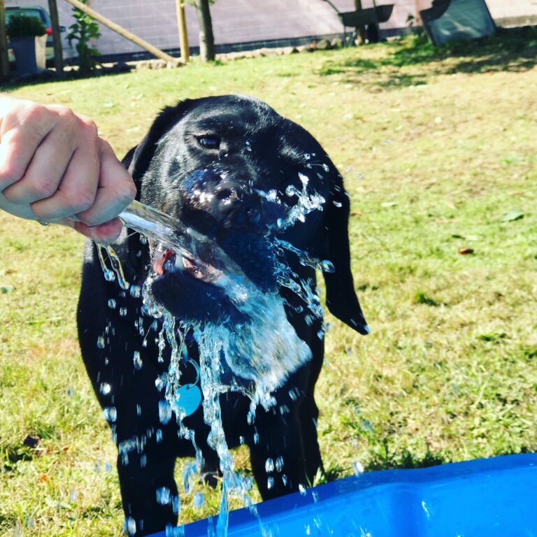 1347 7e38172206a11f53dcdd8d0bda859d3c 1 768x768