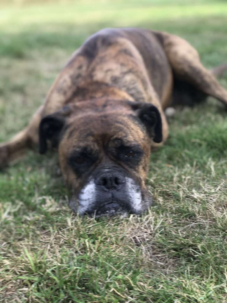 1347 7ebc69eff815f2d719a97af0d952e8bd 1 768x1024