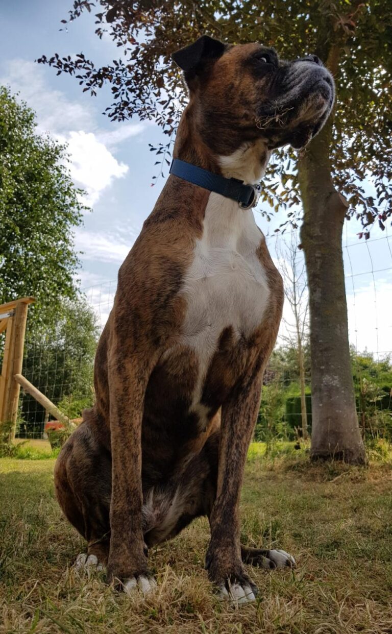 1347 919cd8ea5424e30662f82a8b84734c69 1 768x1242