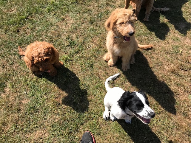 1347 92c6ea7a7568792041ad8e093786013f 1