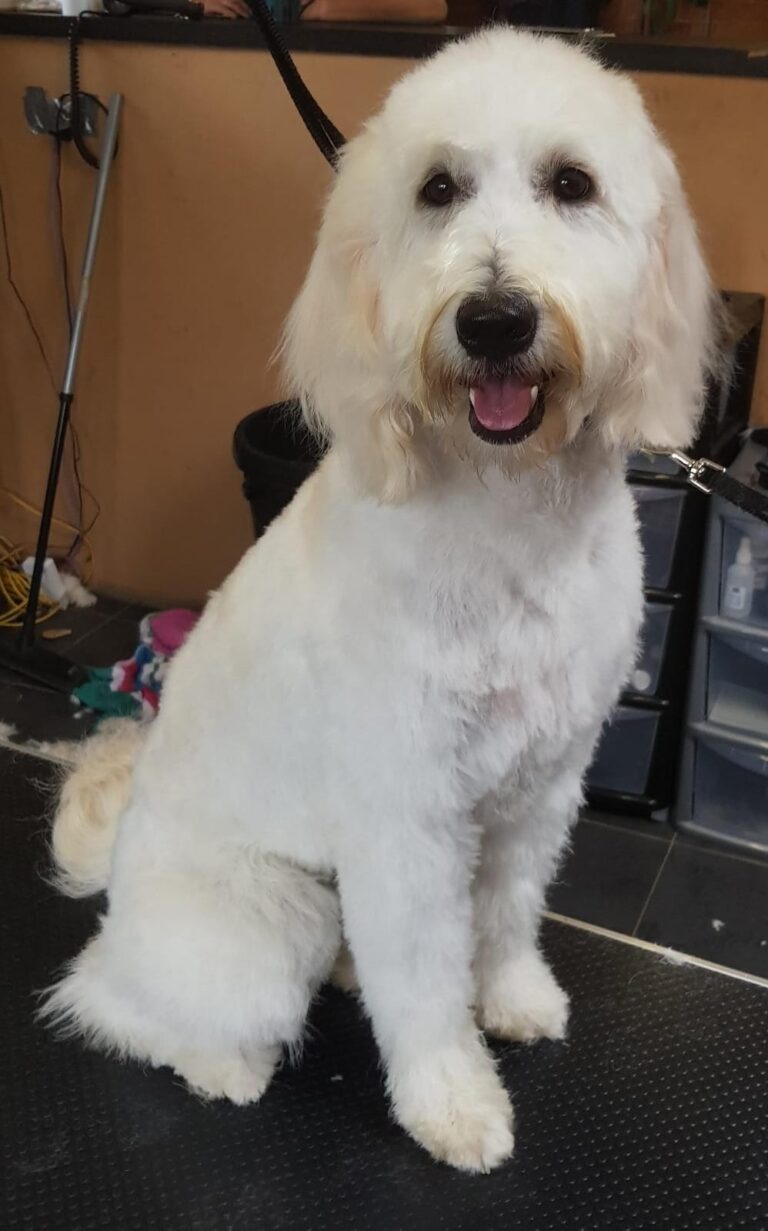 1347 a633334791e30ef656b2be1d7e757c98 1 768x1231