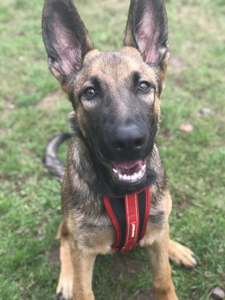 1347 bfc34787d6ffb056e9d40dd3c2869b05 1 scaled 768x1024